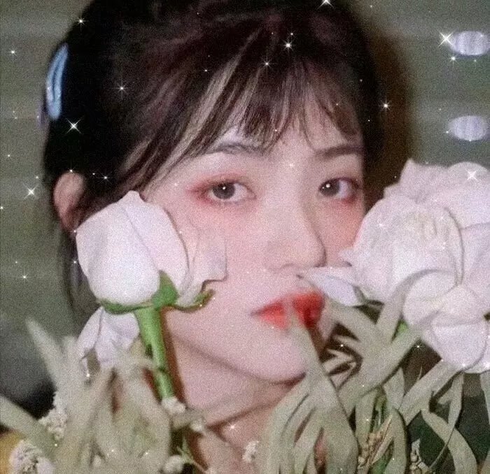 蒙娜丽莎与血月